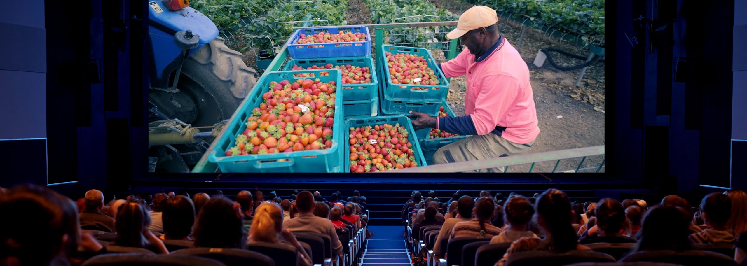 Yarra Valley Berry Box – Cinema Ad